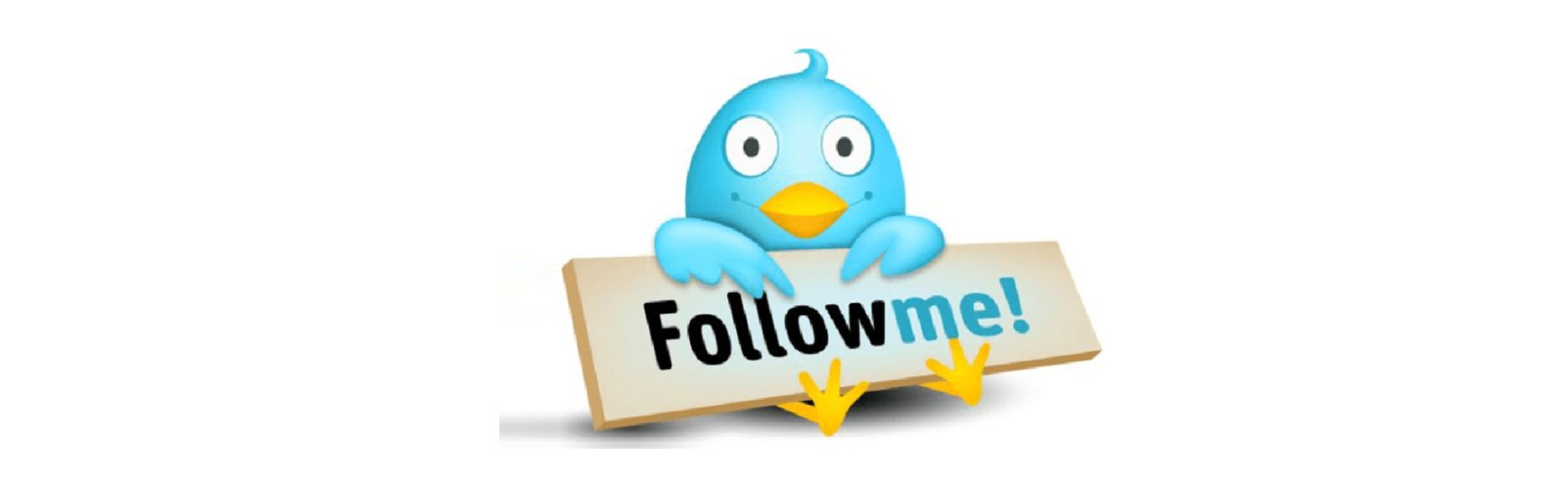how-to-be-a-twitter-guru