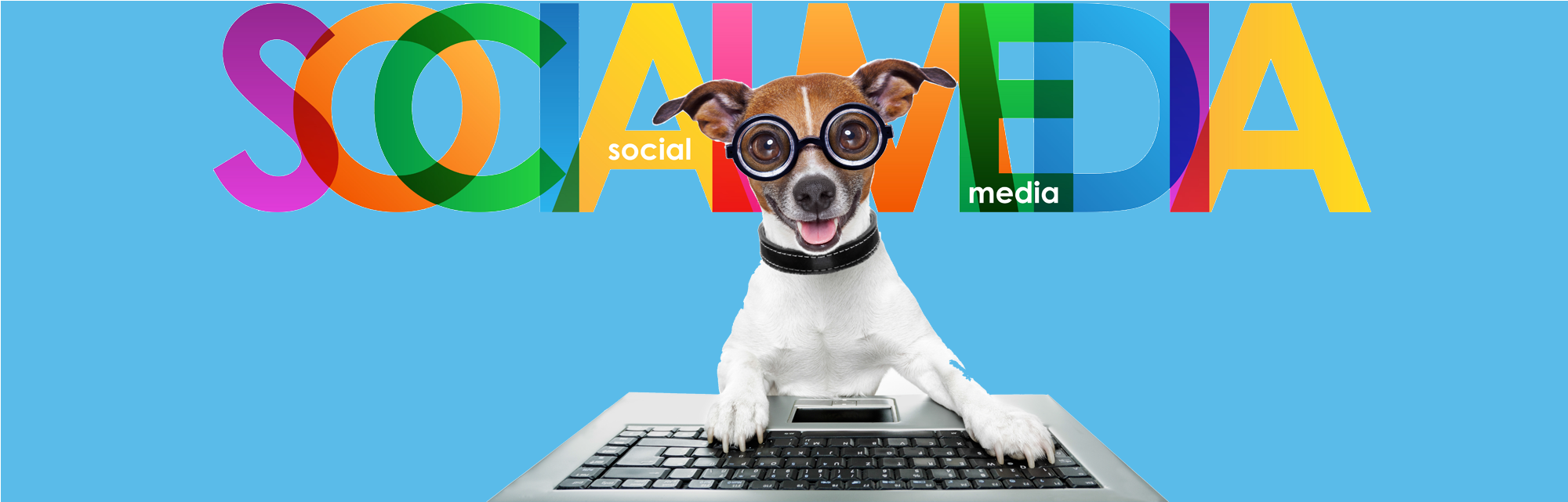 social-media-for-vets
